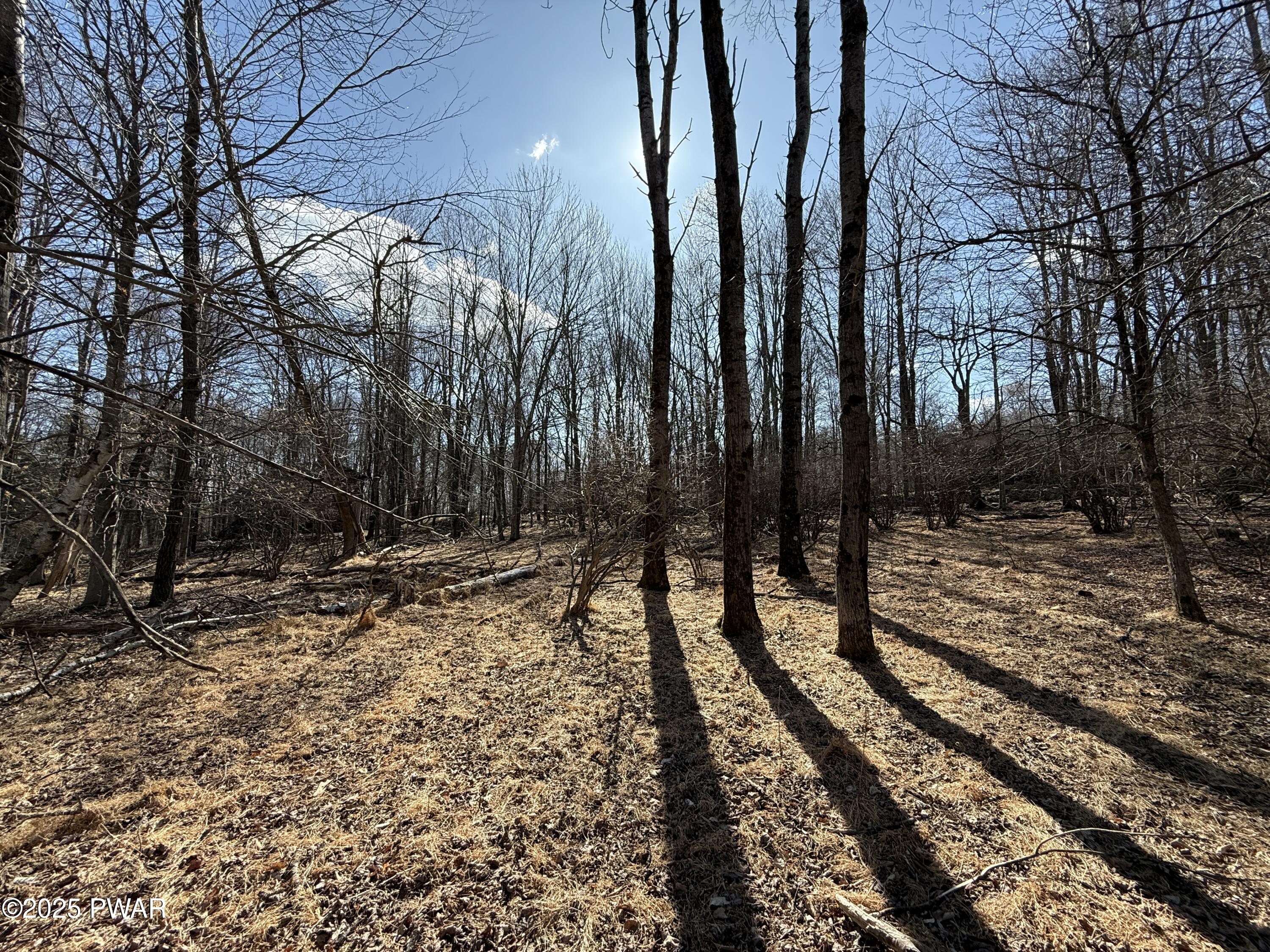 Larkspur Lane, Milford, Pennsylvania image 6