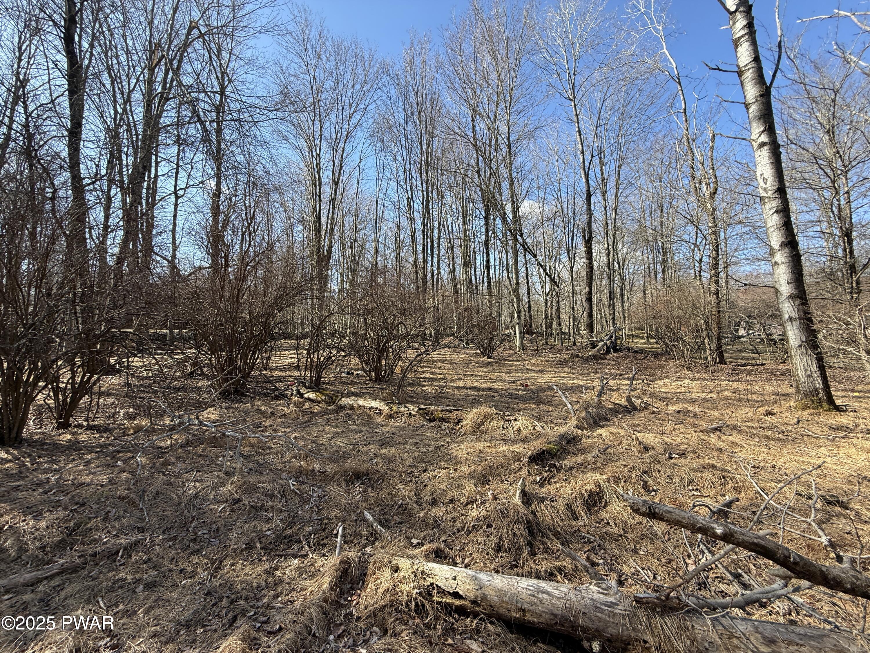 Larkspur Lane, Milford, Pennsylvania image 20