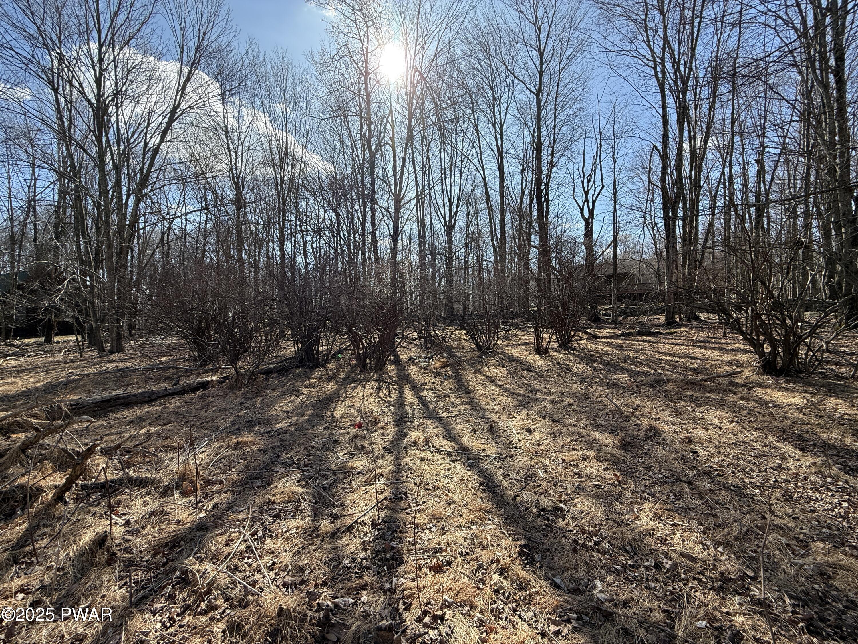 Larkspur Lane, Milford, Pennsylvania image 19