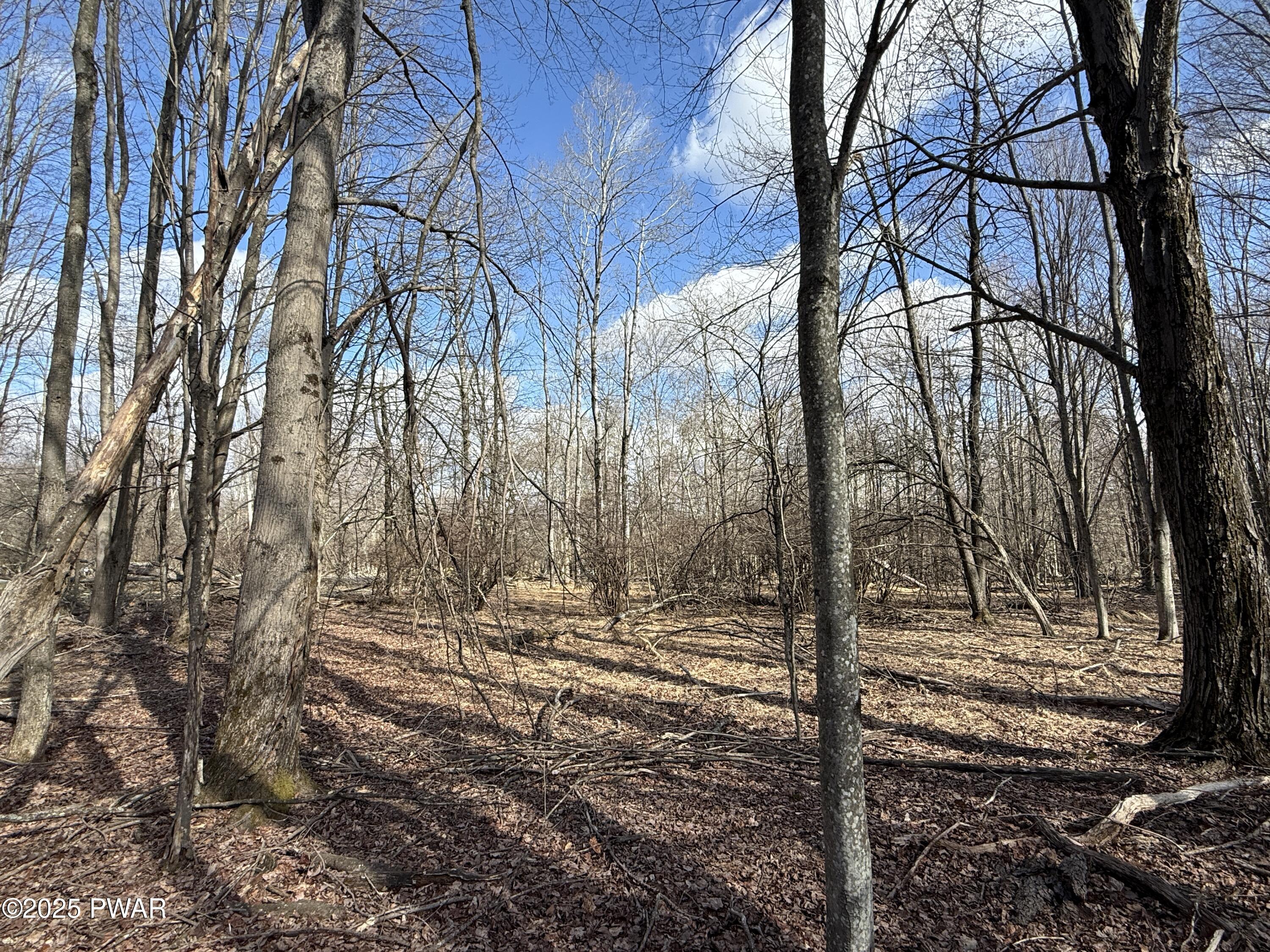Larkspur Lane, Milford, Pennsylvania image 23