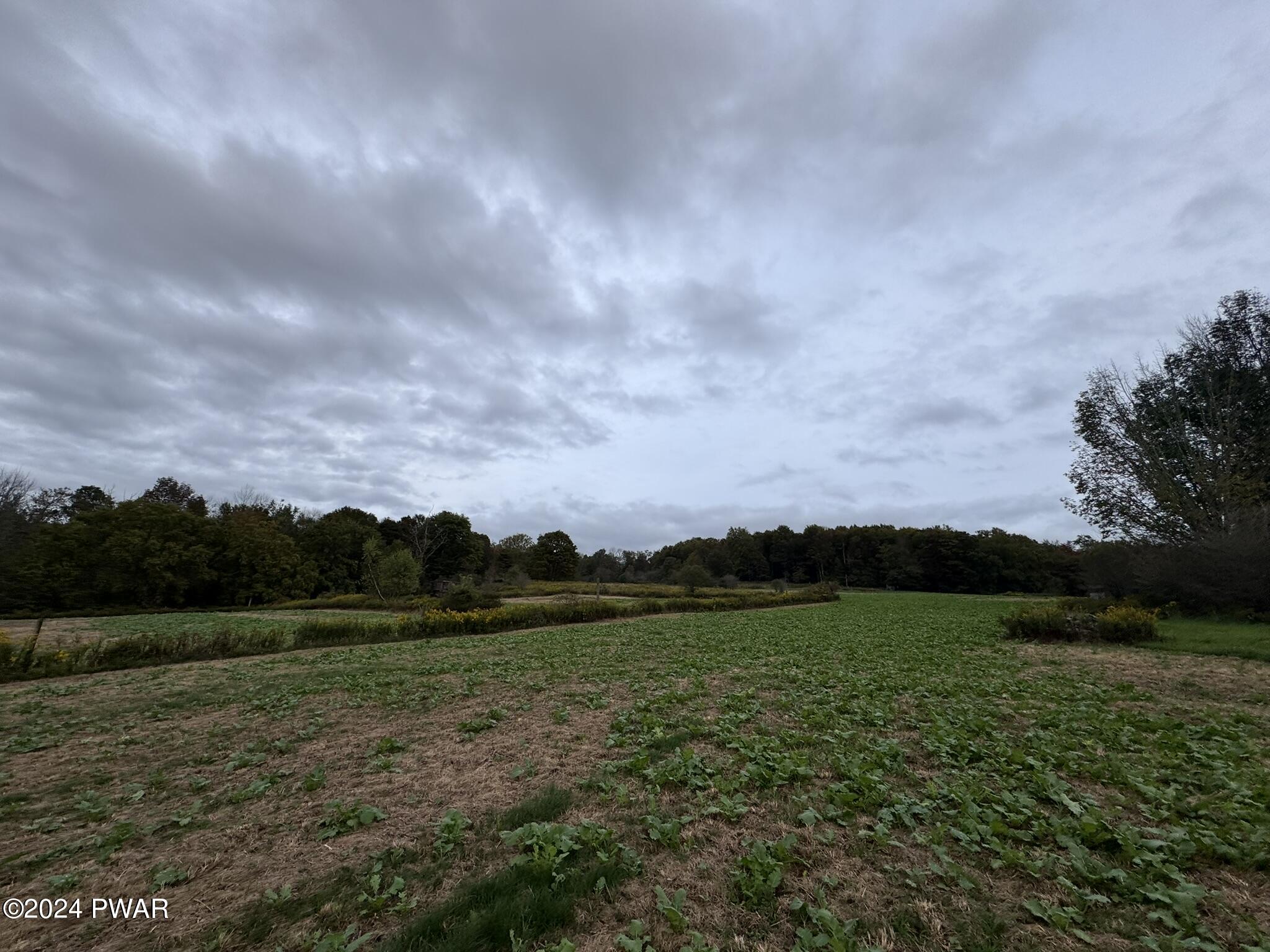 38 Acres Bryn Mawr Road, Honesdale, Pennsylvania image 26