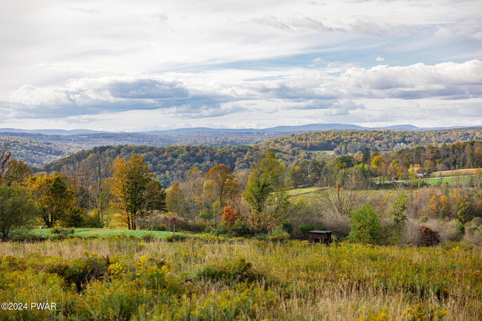 38 Acres Bryn Mawr Road, Honesdale, Pennsylvania image 4