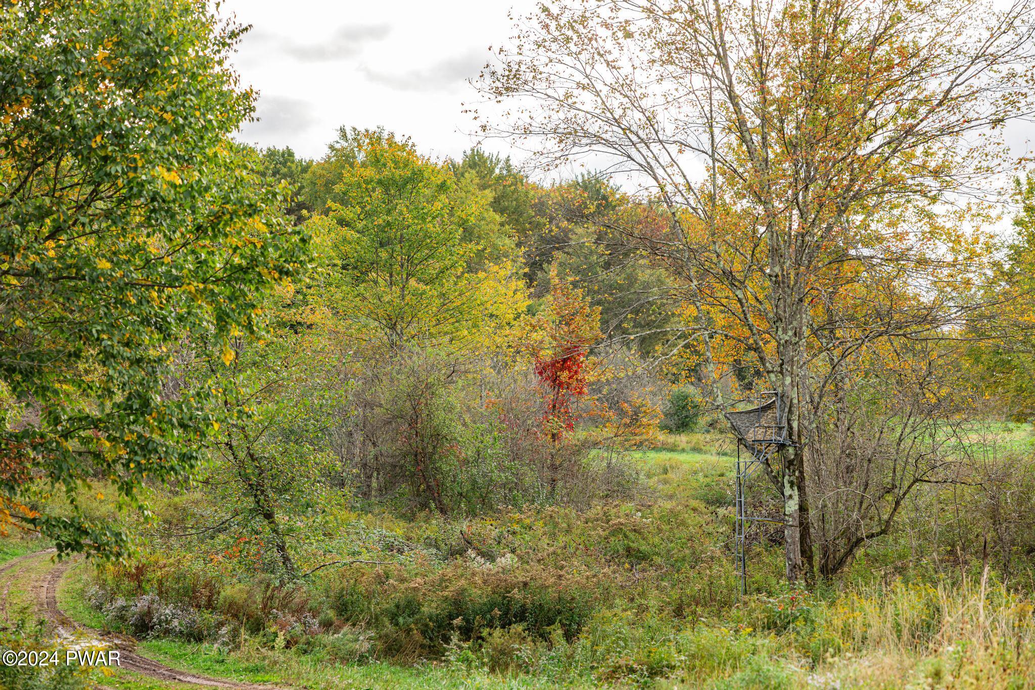 38 Acres Bryn Mawr Road, Honesdale, Pennsylvania image 5