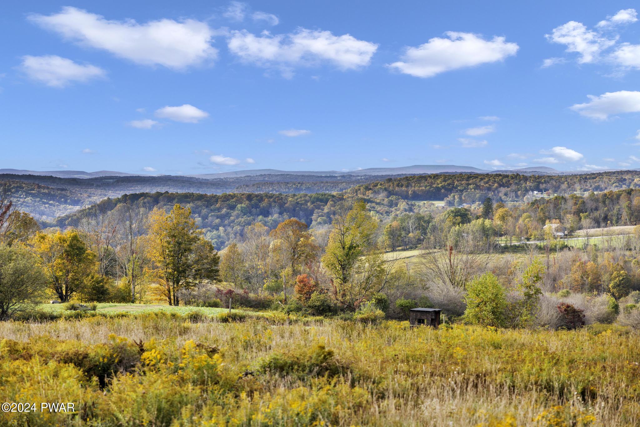 38 Acres Bryn Mawr Road, Honesdale, Pennsylvania image 3