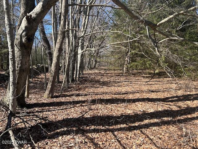 Hirshorn Drive, Newfoundland, Pennsylvania image 2