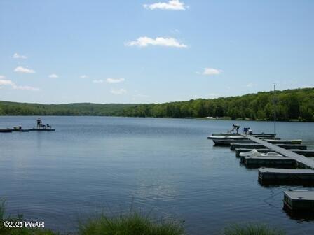 207 Canterbrook Dr Drive, Hawley, Pennsylvania image 15
