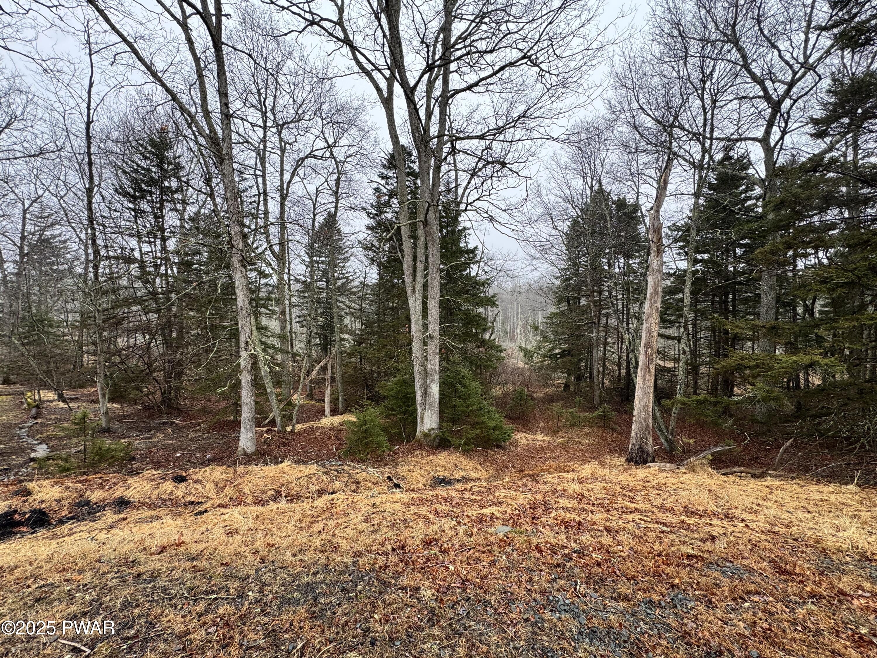 Lot 79 Lonely Mountain Lane, Tamiment, Pennsylvania image 1