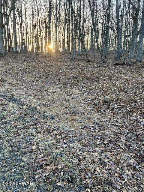 Vacant Land For Sale - LOT 314 Forest Ridge Drive Dr<br/> Hawley, PA 18428