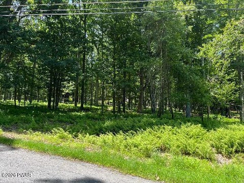 Vacant Land For Sale - LOT 314 Forest Ridge Drive Dr<br/> Pike County, Hawley, PA 18428