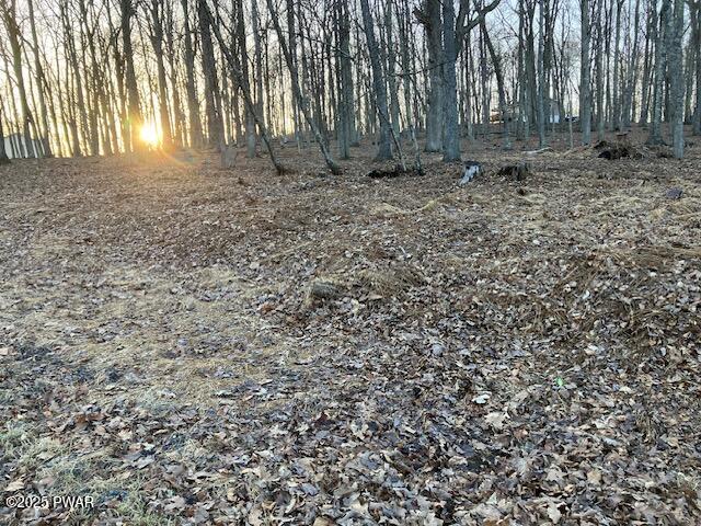 Lot 314 Forest Ridge Drive Dr, Hawley, Pennsylvania image 2