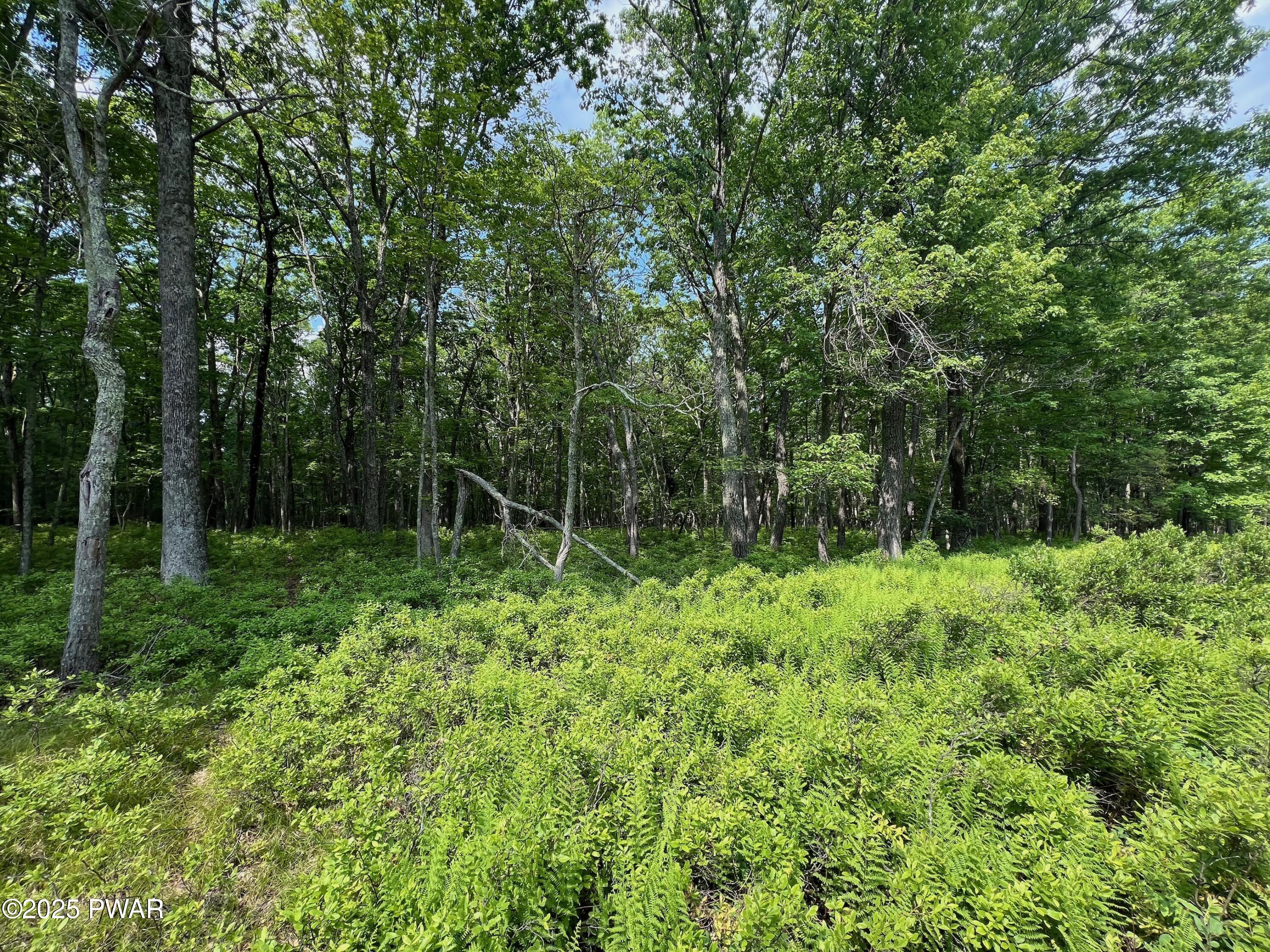 LOT 156 Mountain Top Road, Lackawaxen, Pennsylvania image 15