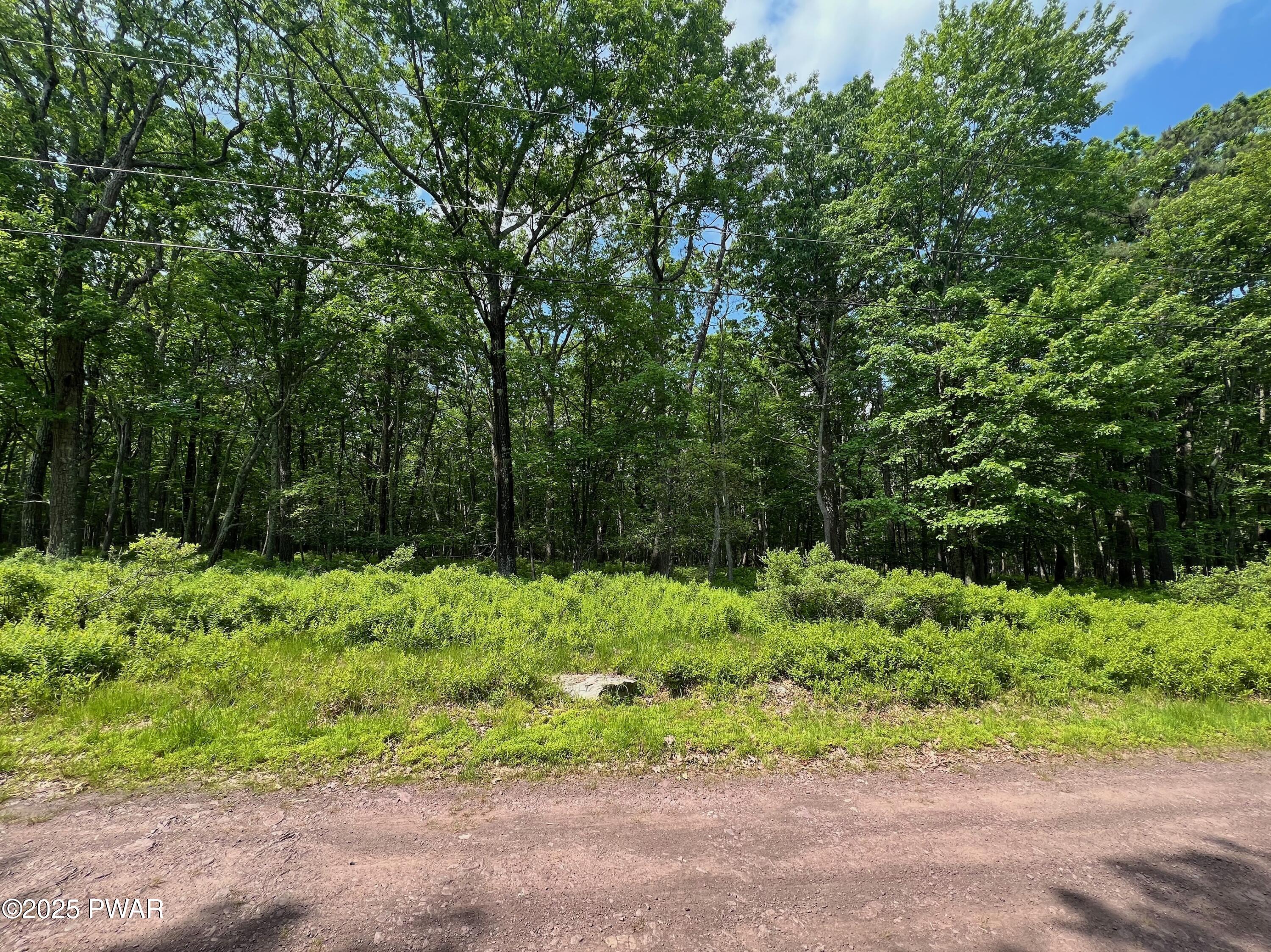 LOT 156 Mountain Top Road, Lackawaxen, Pennsylvania image 16