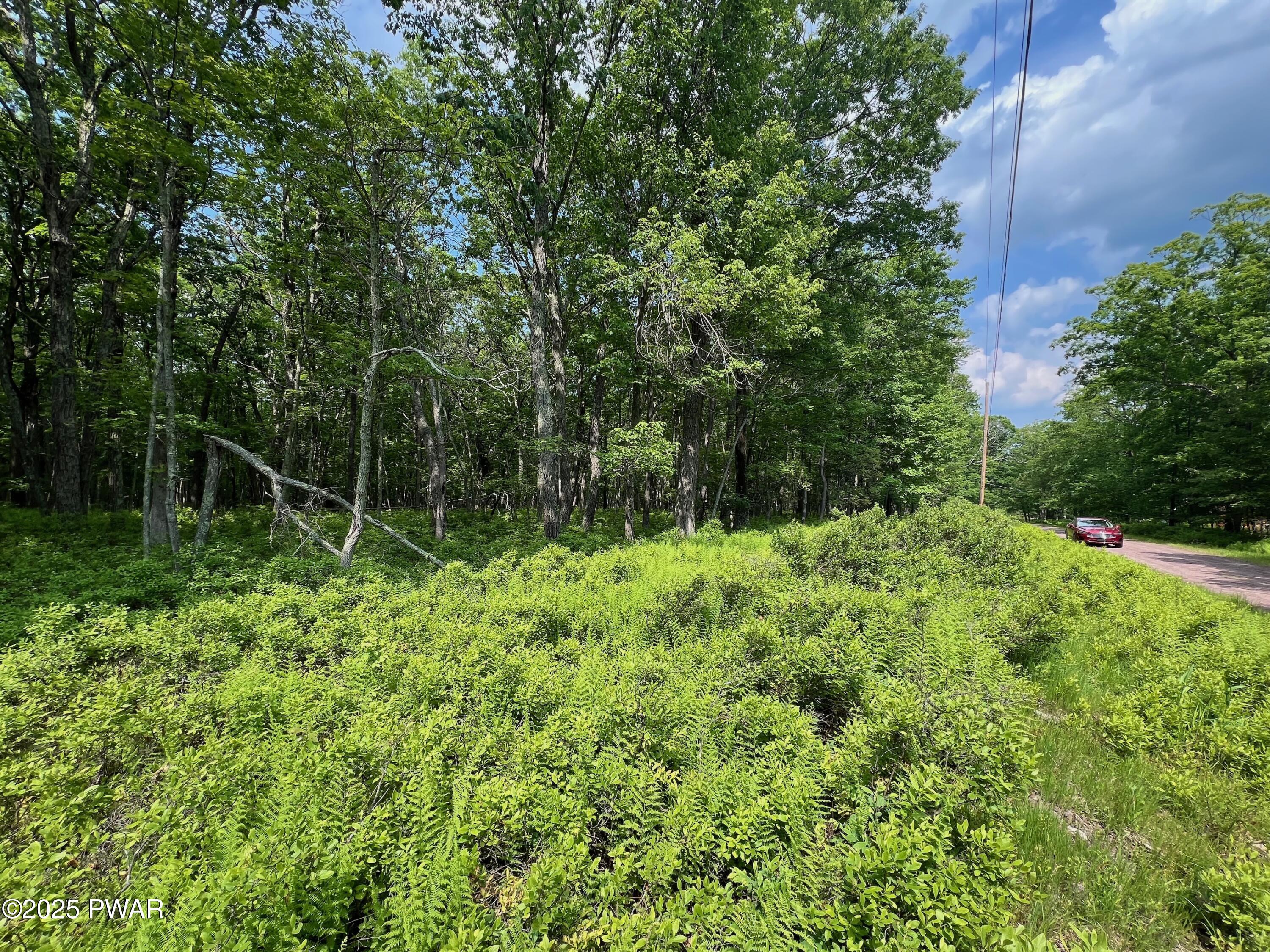 LOT 156 Mountain Top Road, Lackawaxen, Pennsylvania image 14