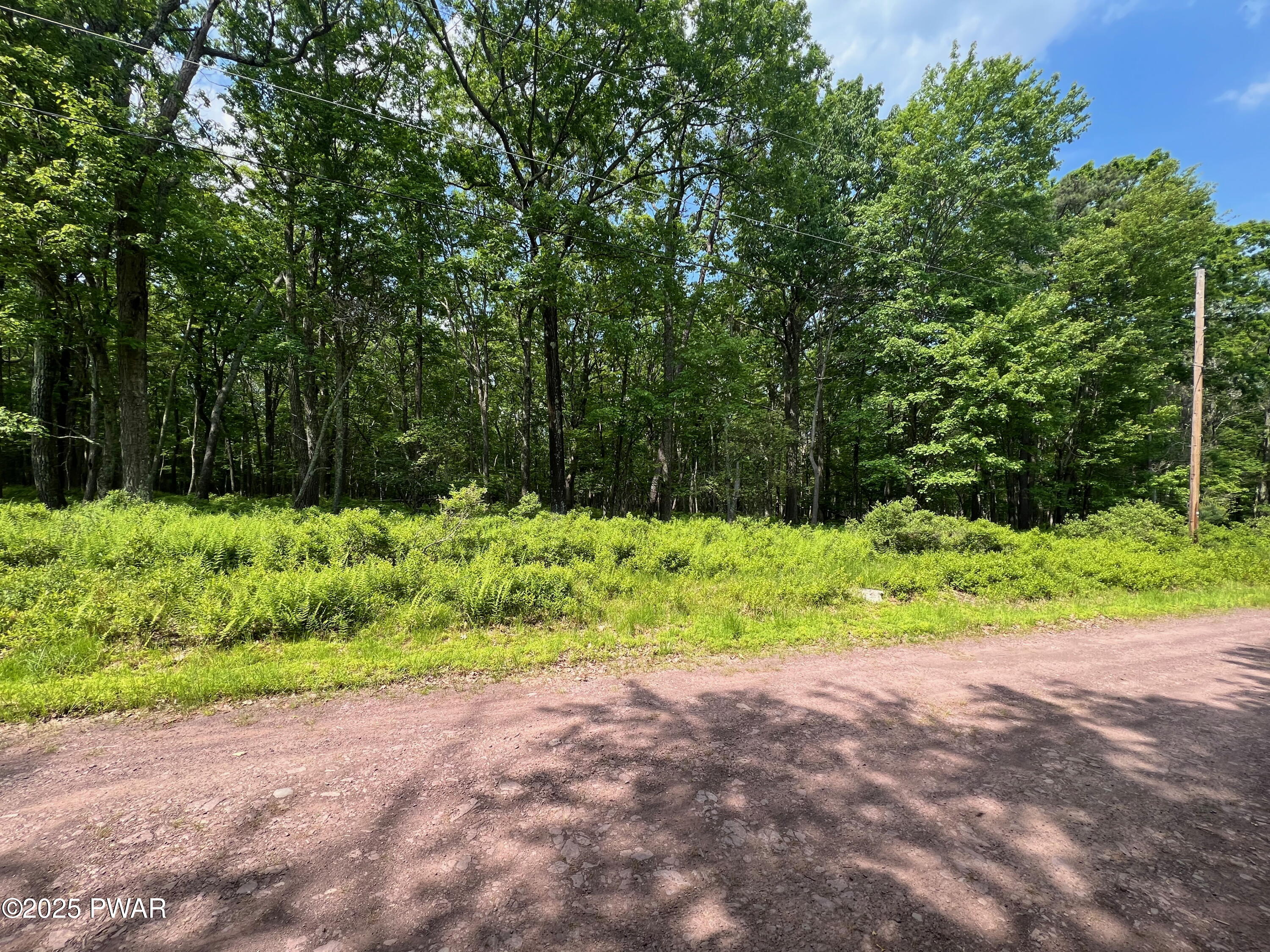 LOT 156 Mountain Top Road, Lackawaxen, Pennsylvania image 13