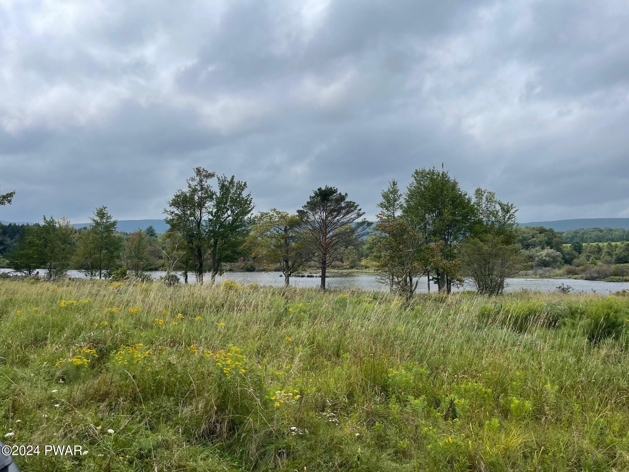 Bound Brook Drive, South Canaan, Pennsylvania image 16