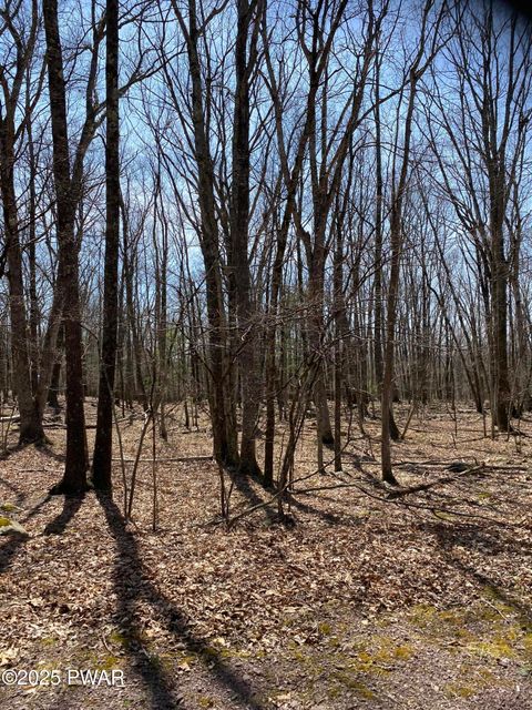 Vacant Land For Sale - LOT 116 Beech Tree Court<br/> Hawley, PA 18428