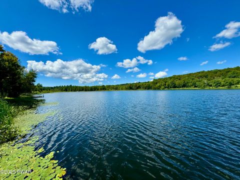 Homes For Sale - 76 S Shore Road<br/> Pleasant Mount, PA 18453