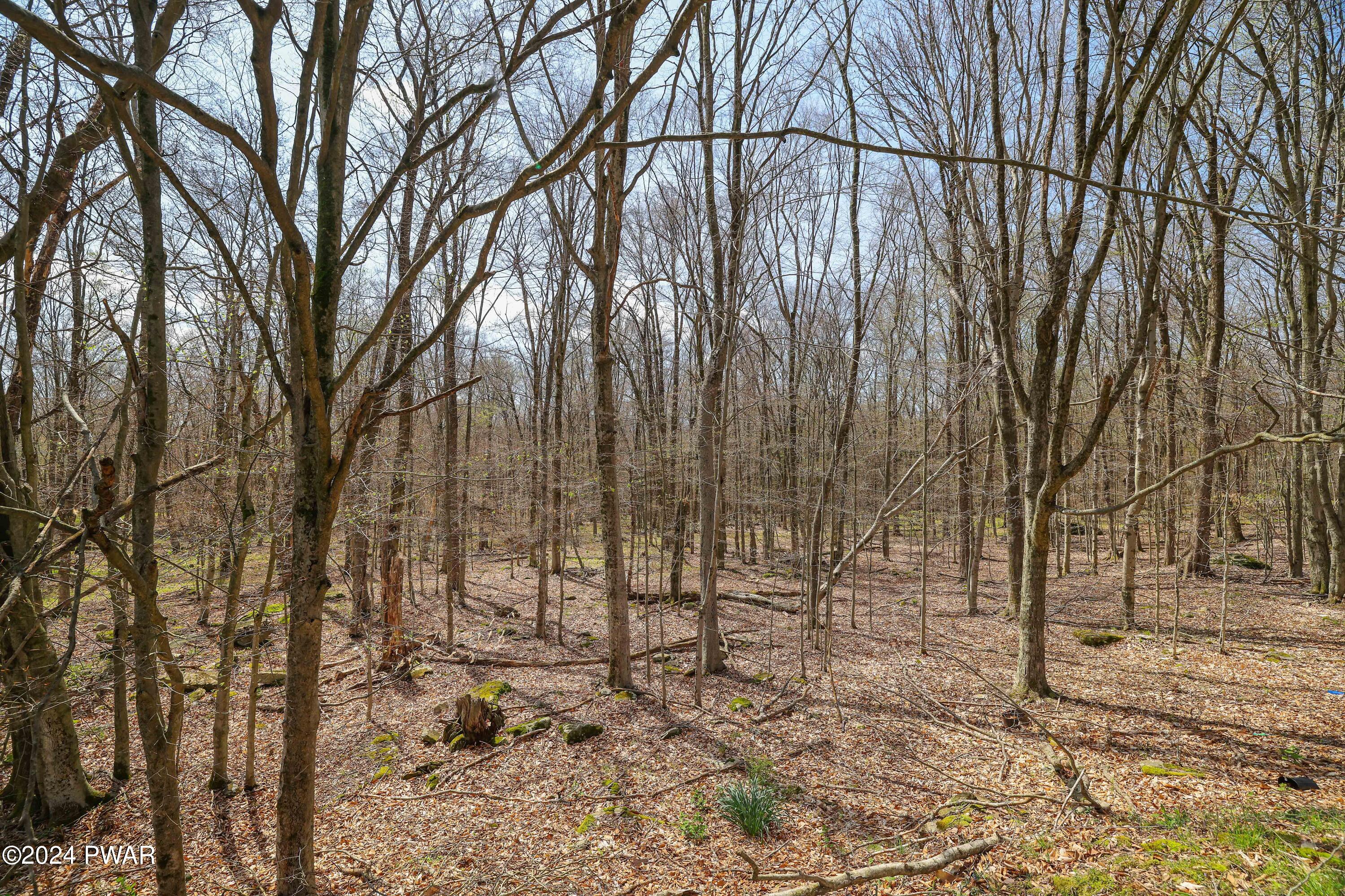 Beach Lake, Pennsylvania 18405, United States, 3 Bedrooms Bedrooms, ,3 BathroomsBathrooms,Residential,Pending,59007