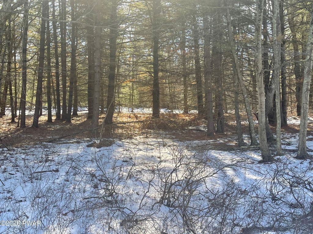 Photo of Maplewood Drive, Lackawaxen, PA 18435 (MLS # PW260381)