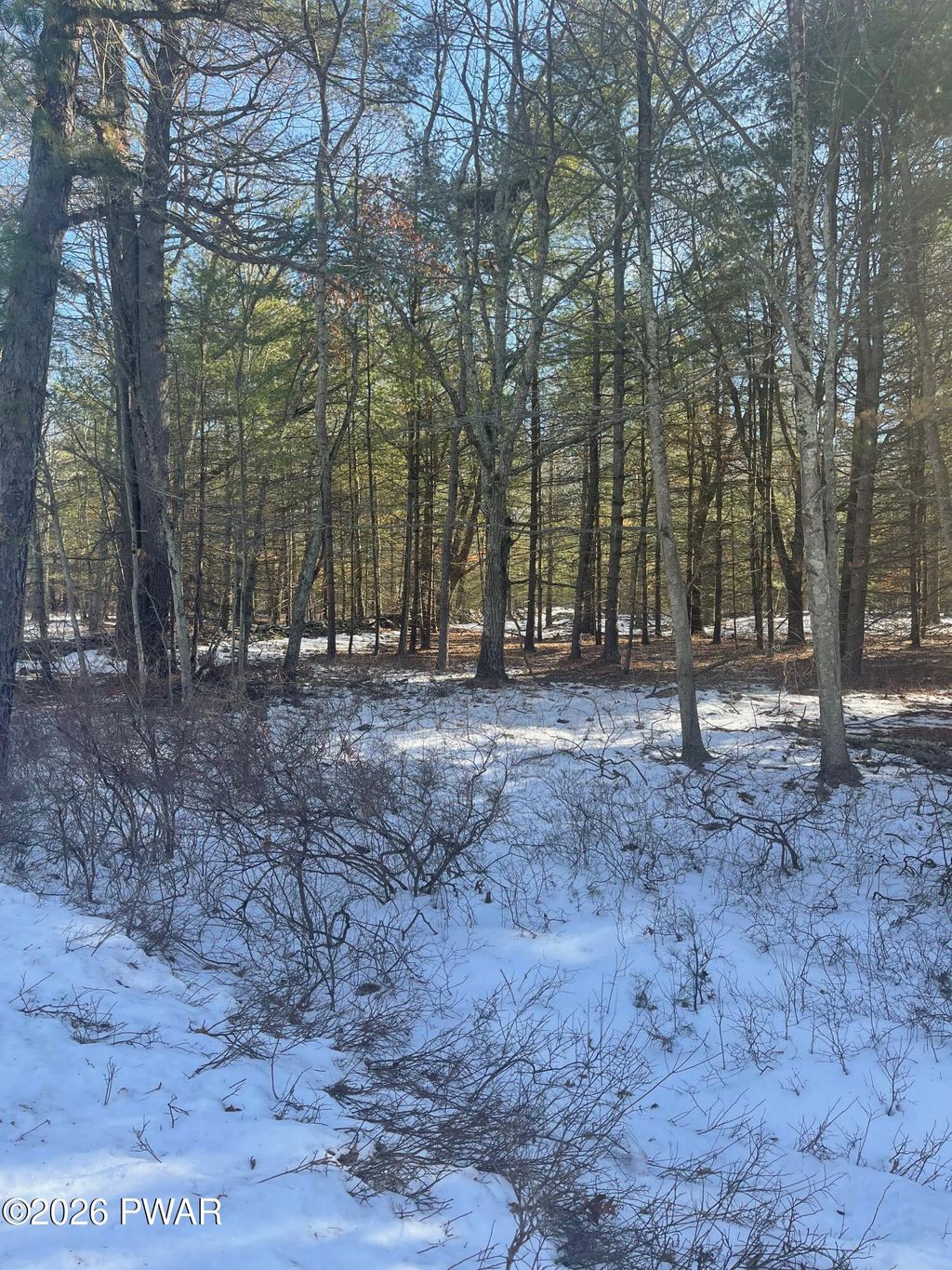 Photo of Maplewood Drive, Lackawaxen, PA 18435 (MLS # PW260381)