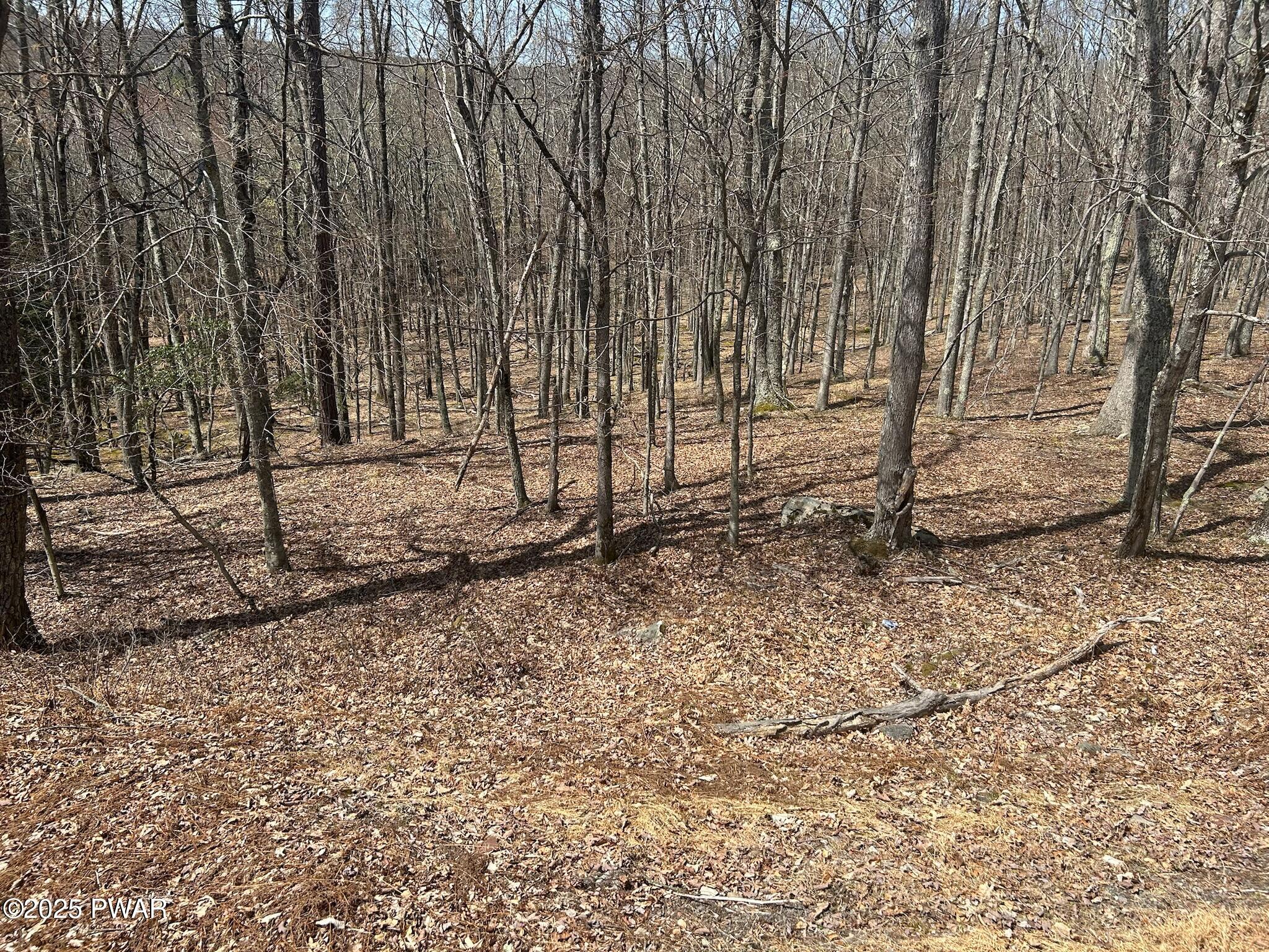 119 Waterview Drive, Hawley, Pennsylvania image 3