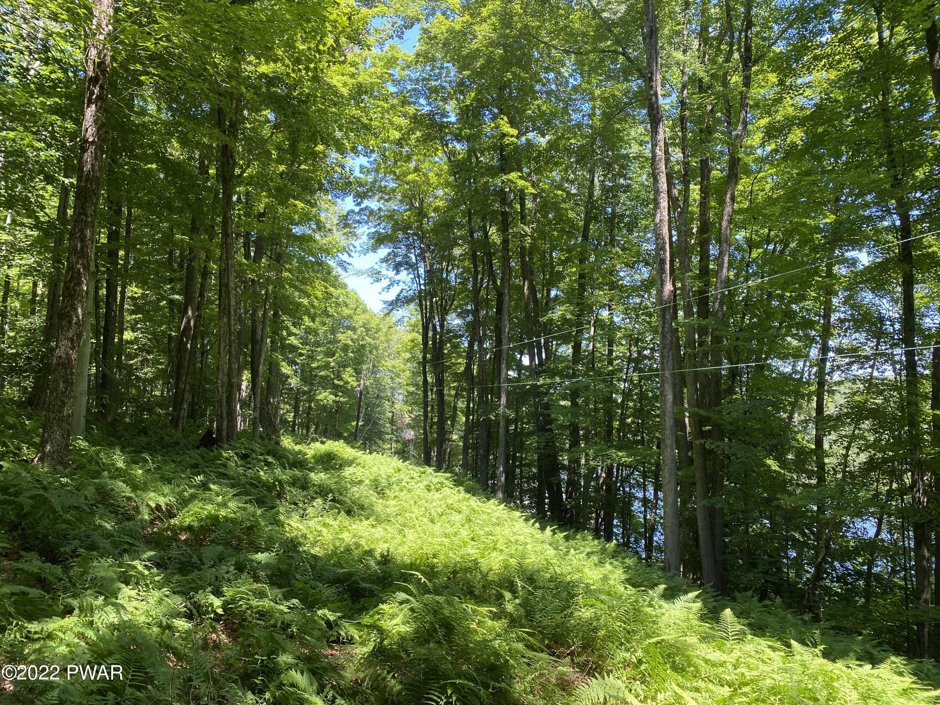 Stockport Turnpike, Lake Como, Pennsylvania image 6