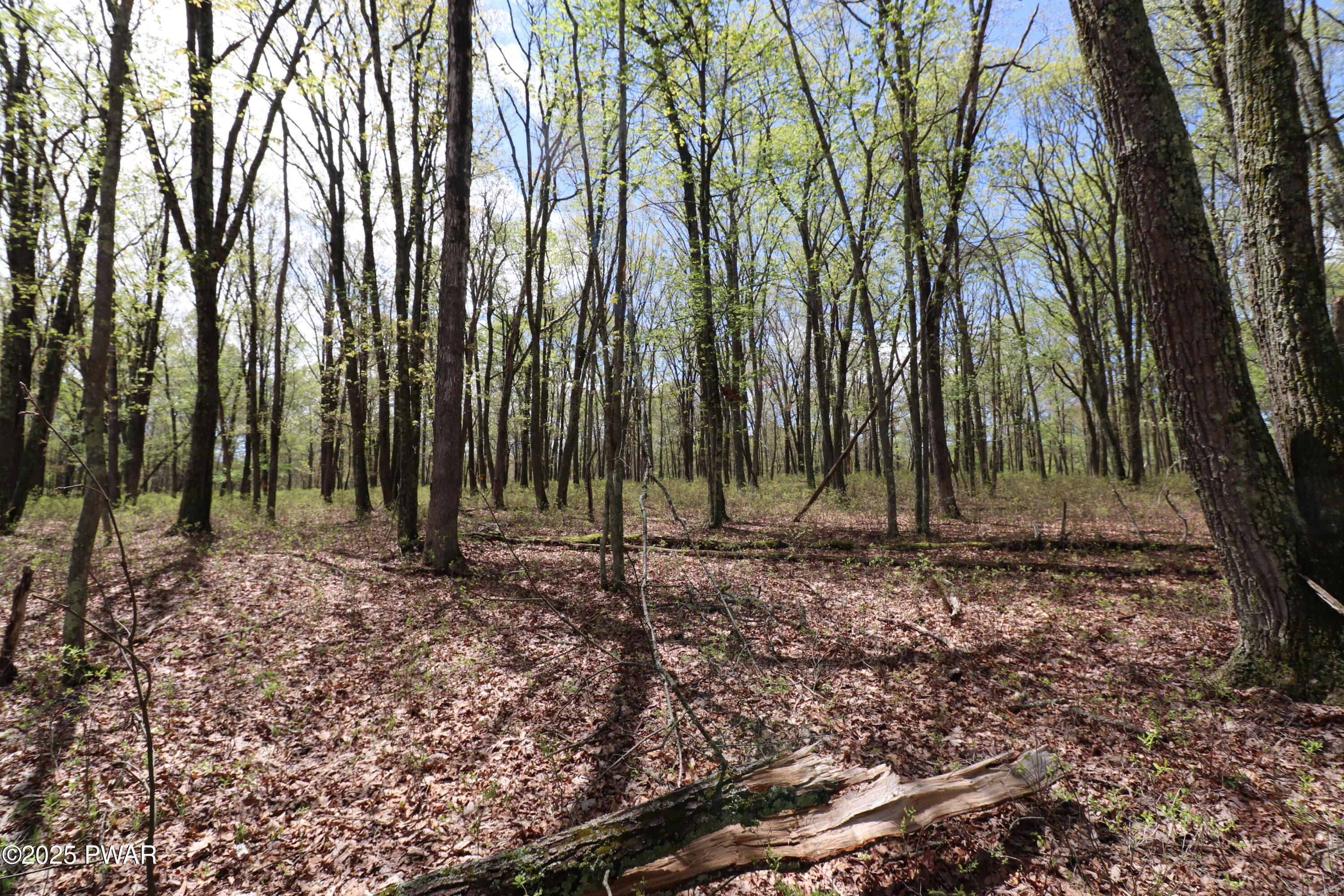 177 Lake View Circle, Hawley, Pennsylvania image 2