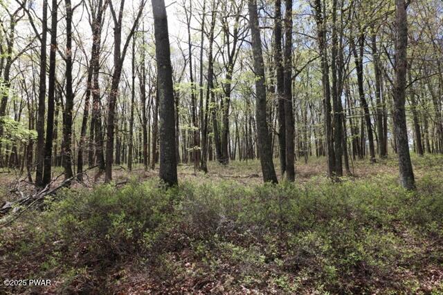 177 Lake View Circle, Hawley, Pennsylvania image 1