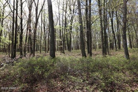Vacant Land For Sale - 177 Lake View Circle<br/> Hawley, PA 18428