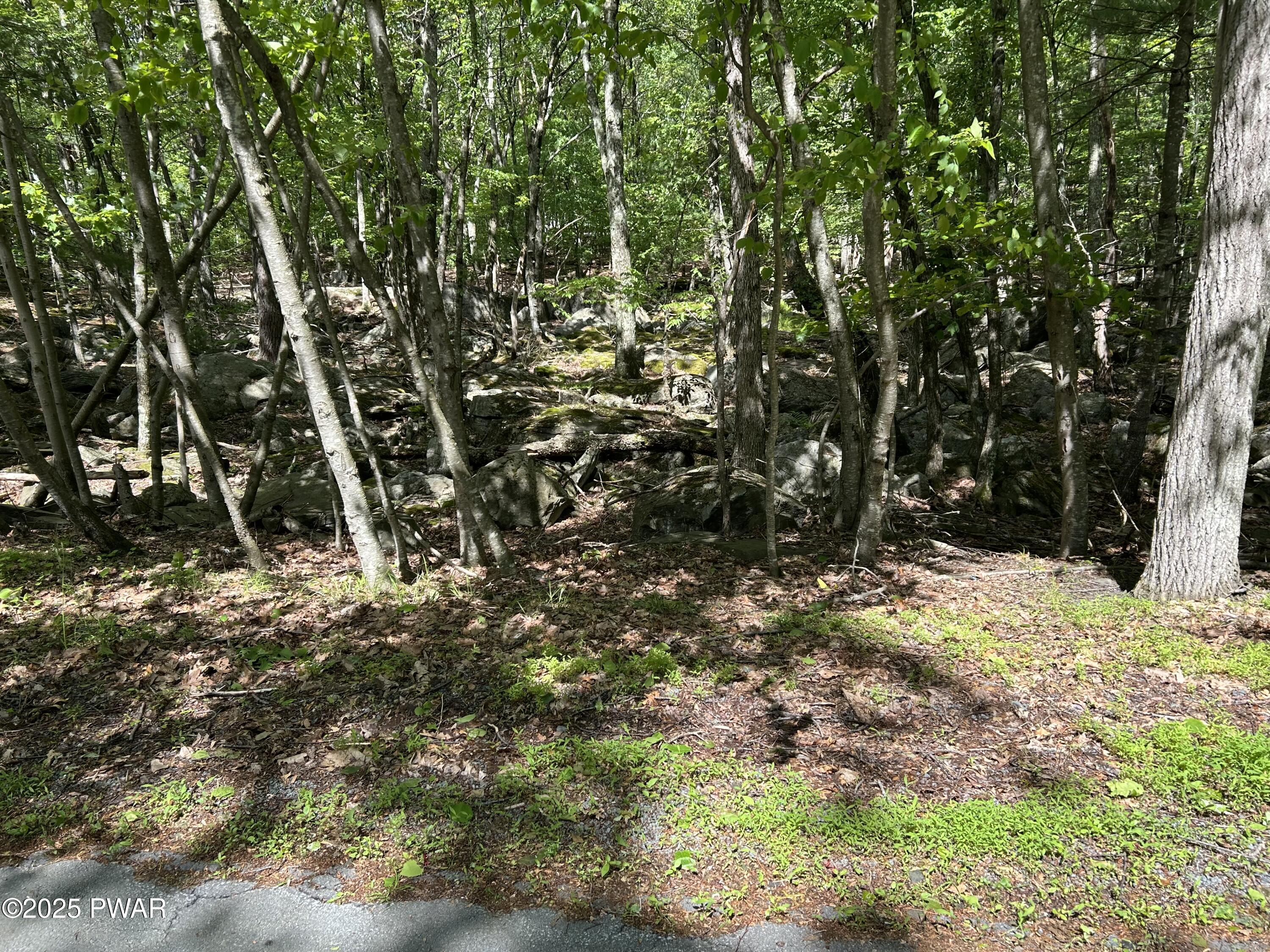 Lot 19 Rustic Way, Milford, Pennsylvania image 6
