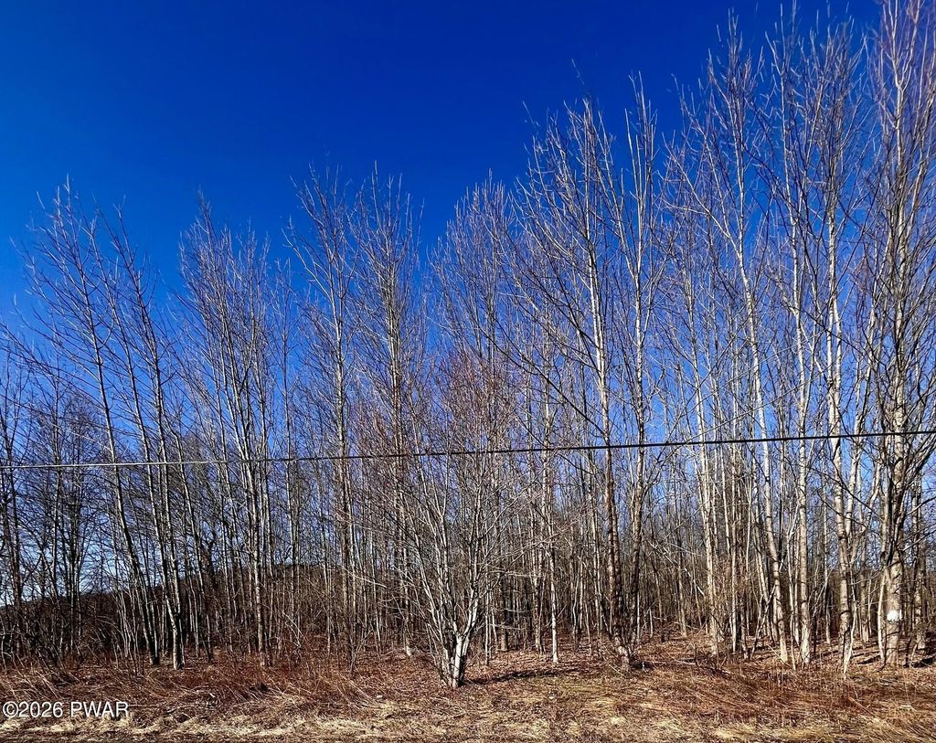 Photo of 0 Belmont Turnpike, Waymart, PA 18470 (MLS # PW260678)