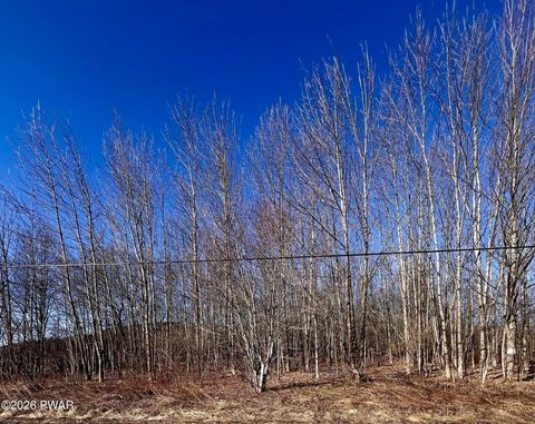 Vacant Land For Sale - Belmont Turnpike<br/> Wayne County, Waymart, PA 18470