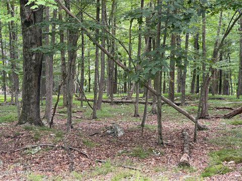 Vacant Land For Sale - Lot 566 Sunrise Trail<br/> Hawley, PA 18428