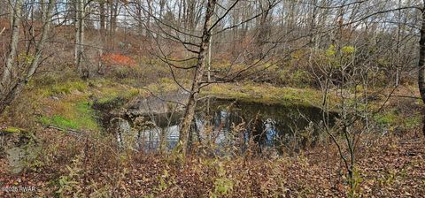 Vacant Land For Sale - 101 Delaware Drive<br/> Damascus, PA 18415