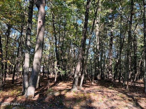 Vacant Land For Sale - 116 Primrose (lot 31a) Lane<br/> Dingmans Ferry, PA 18328