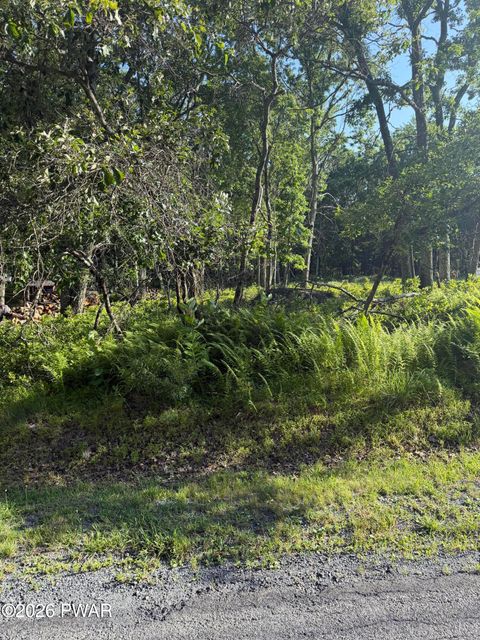 Vacant Land For Sale - LOT 74 Bear Drive<br/> Pike County, Bushkill, PA 18324
