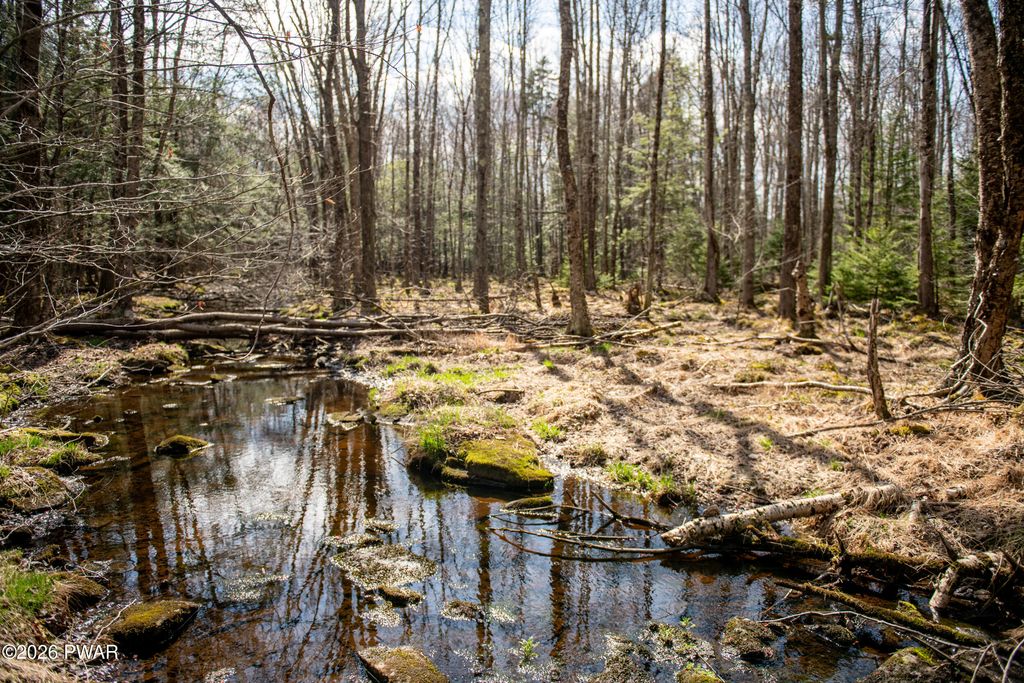 Photo of Rocky Swamp Rd 40, Pocono Lake, PA 18347 (MLS # PW260963)
