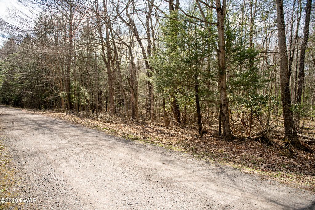Photo of Rocky Swamp Rd 40, Pocono Lake, PA 18347 (MLS # PW260963)