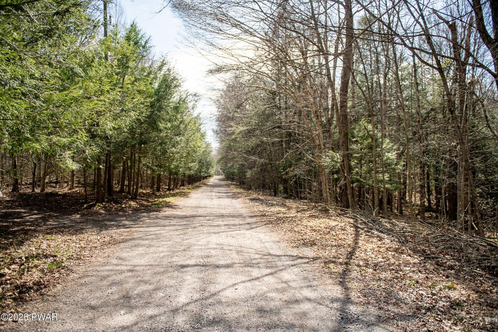 Photo of Rocky Swamp Rd 40, Pocono Lake, PA 18347 (MLS # PW260963)
