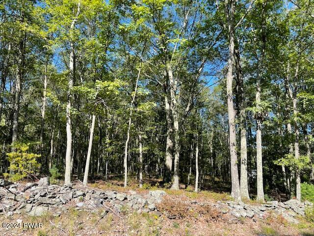 Lot 36 Mt Shadow Ln & Roosie Rd, Bushkill, Pennsylvania image 6