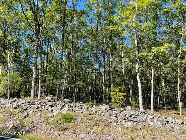 Lot 36 Mt Shadow Ln & Roosie Rd, Bushkill, Pennsylvania image 5