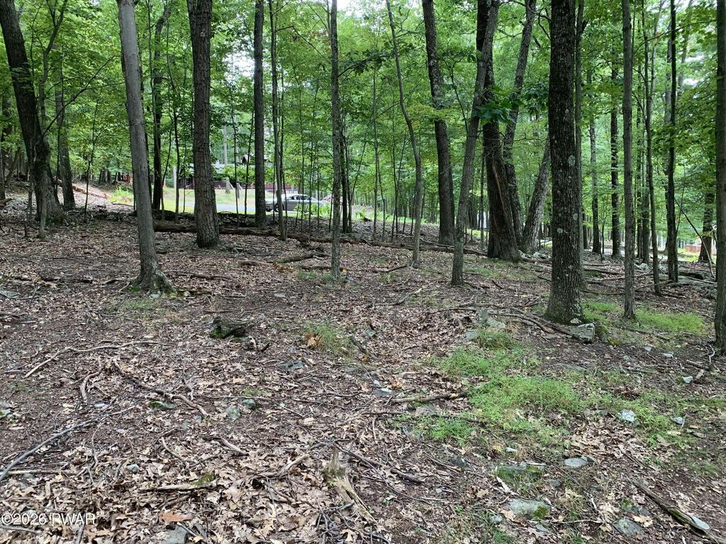 Photo of 846 Alta Lane, Tafton, PA 18464 (MLS # PW260816)