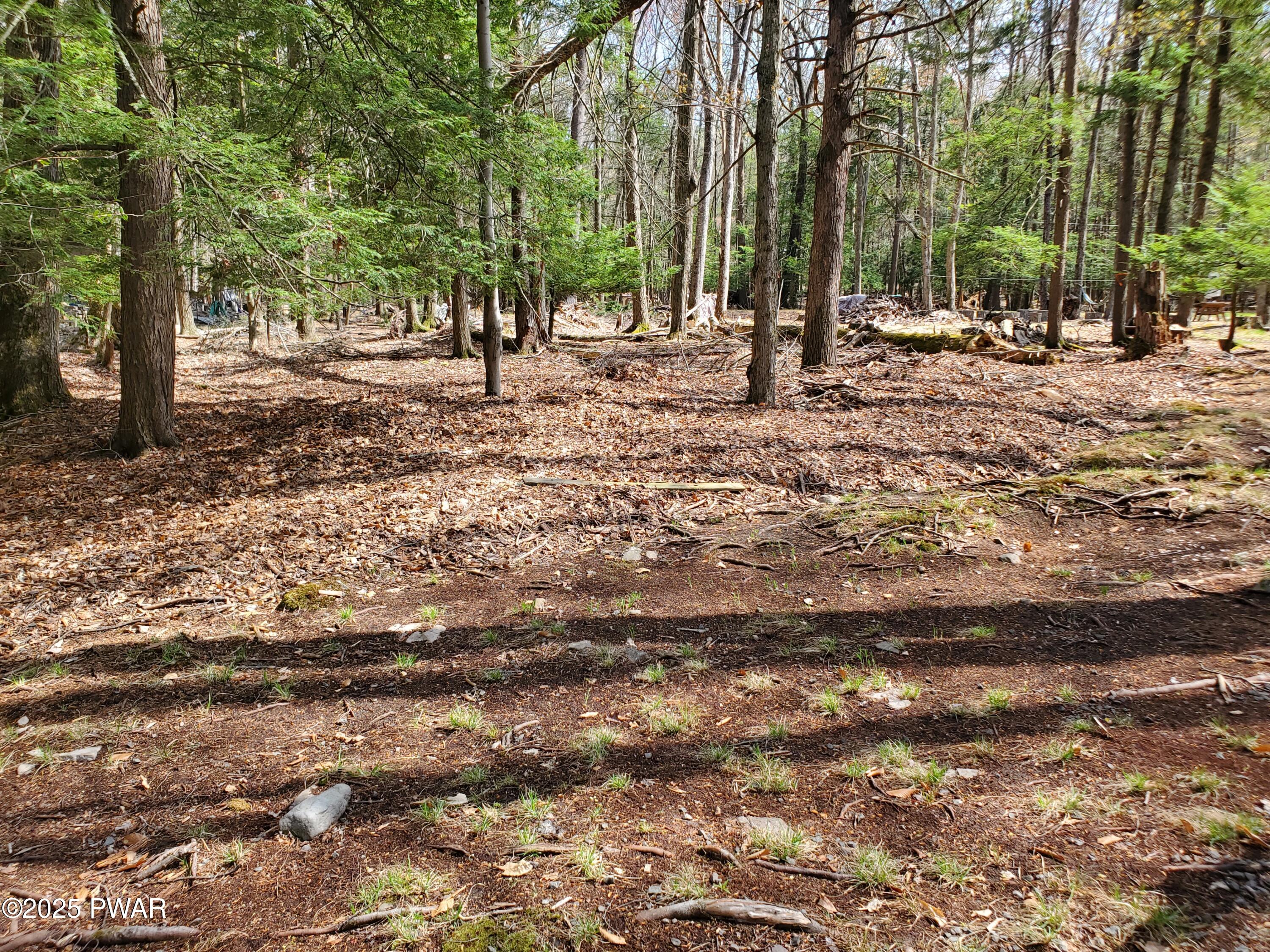103 Hickory Drive, Greentown, Pennsylvania image 38