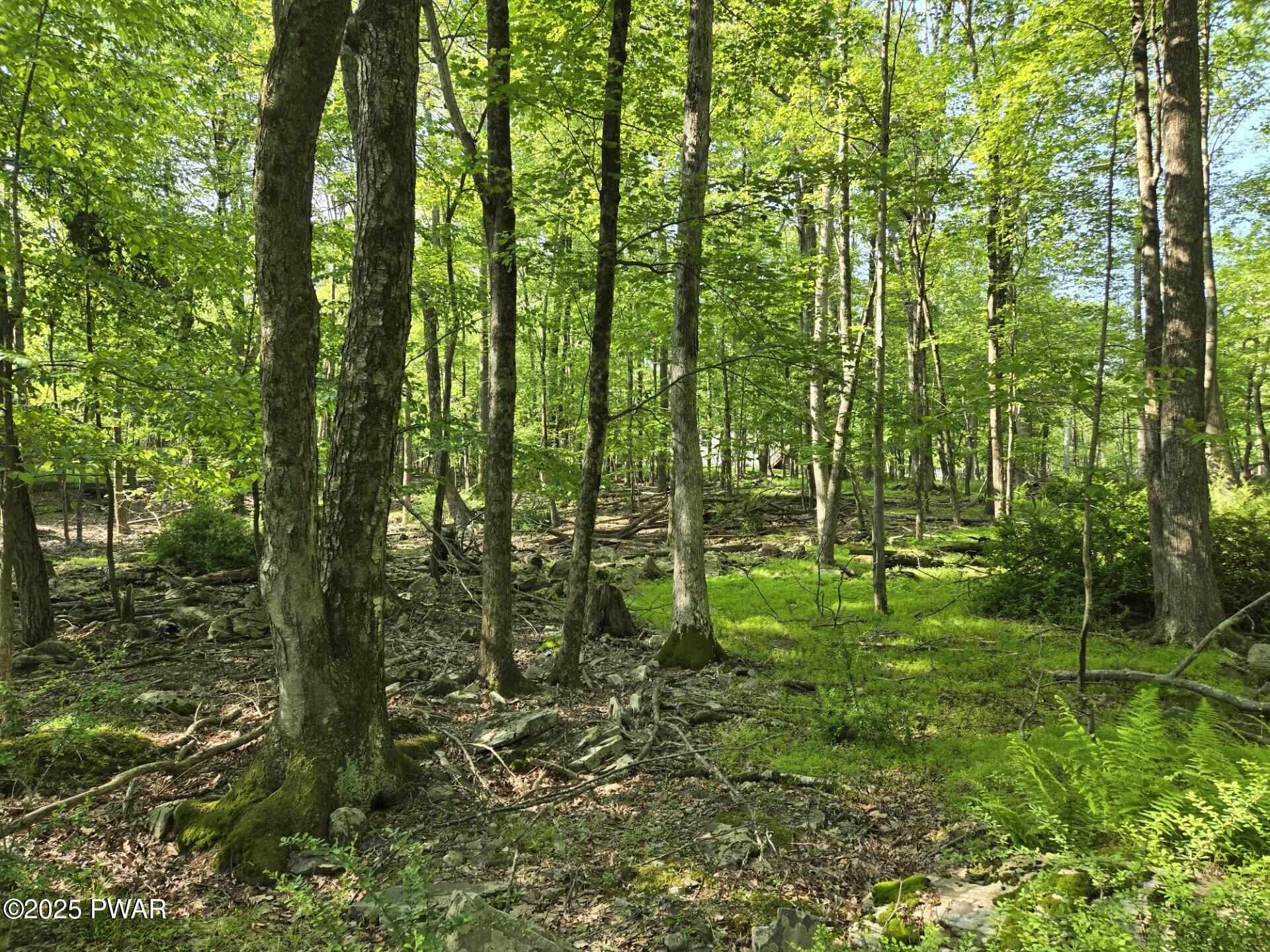 Lot 4 Bluegill Road, Milford, Pennsylvania image 3