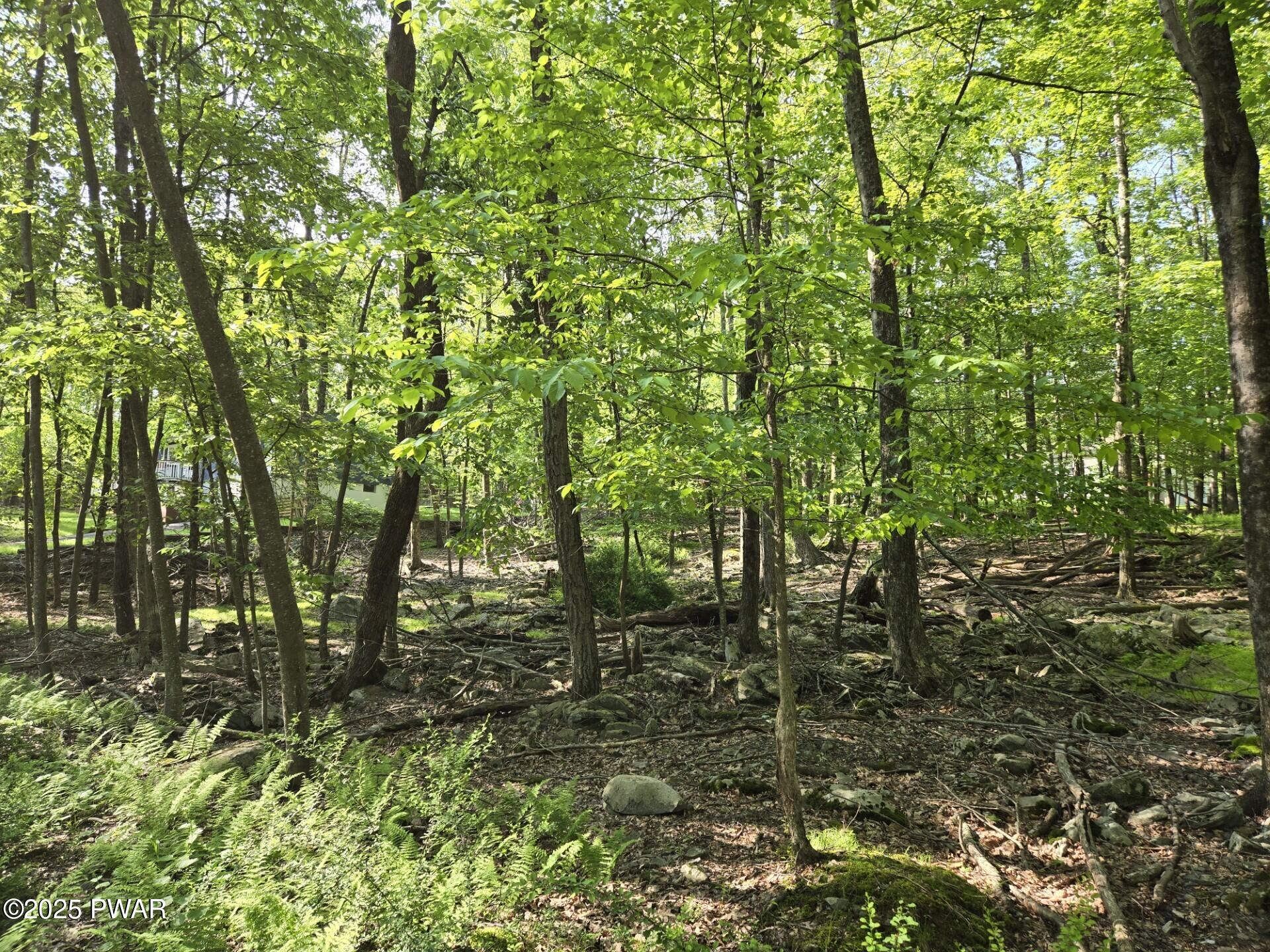 Lot 4 Bluegill Road, Milford, Pennsylvania image 4
