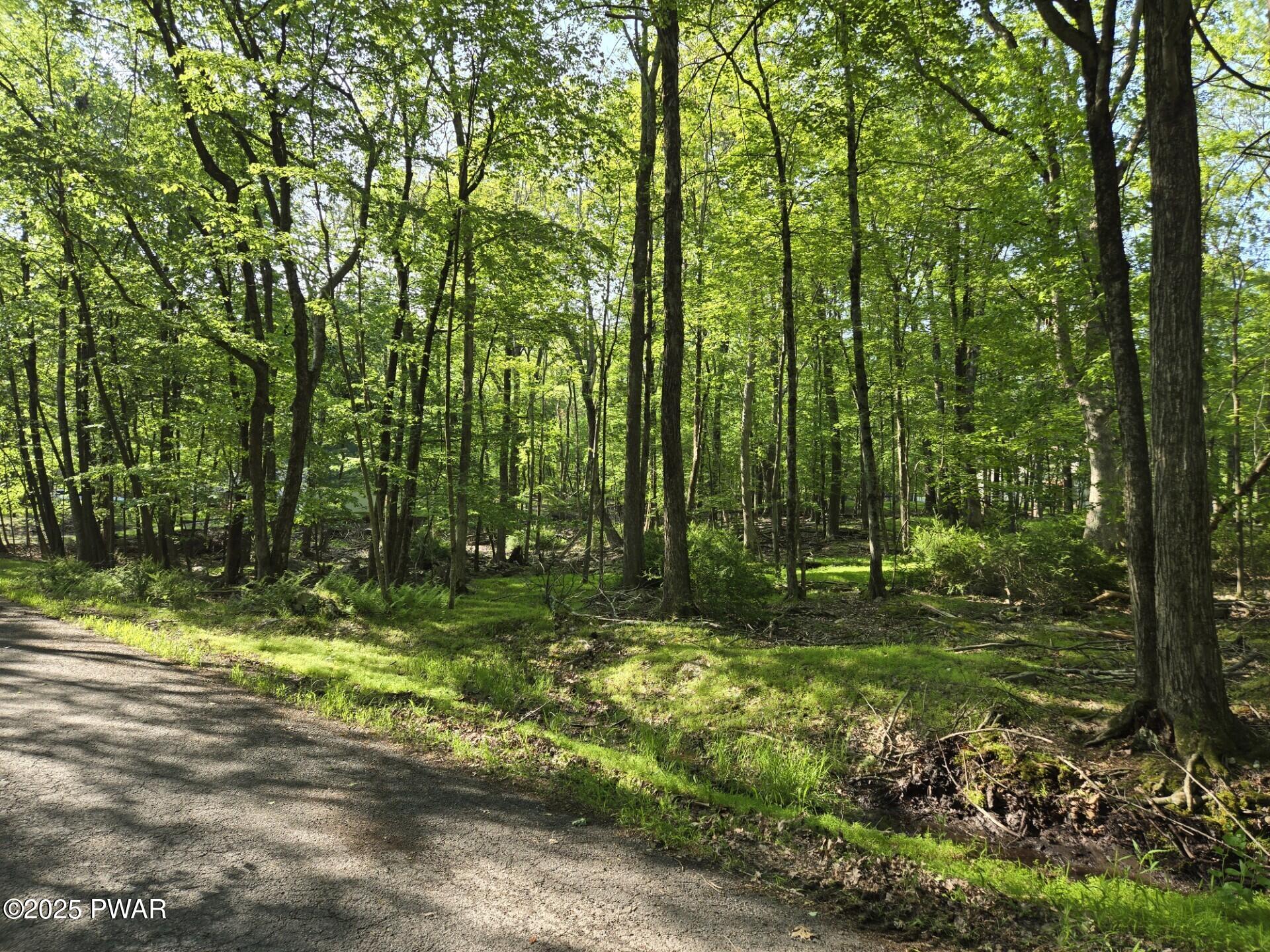 Lot 4 Bluegill Road, Milford, Pennsylvania image 2
