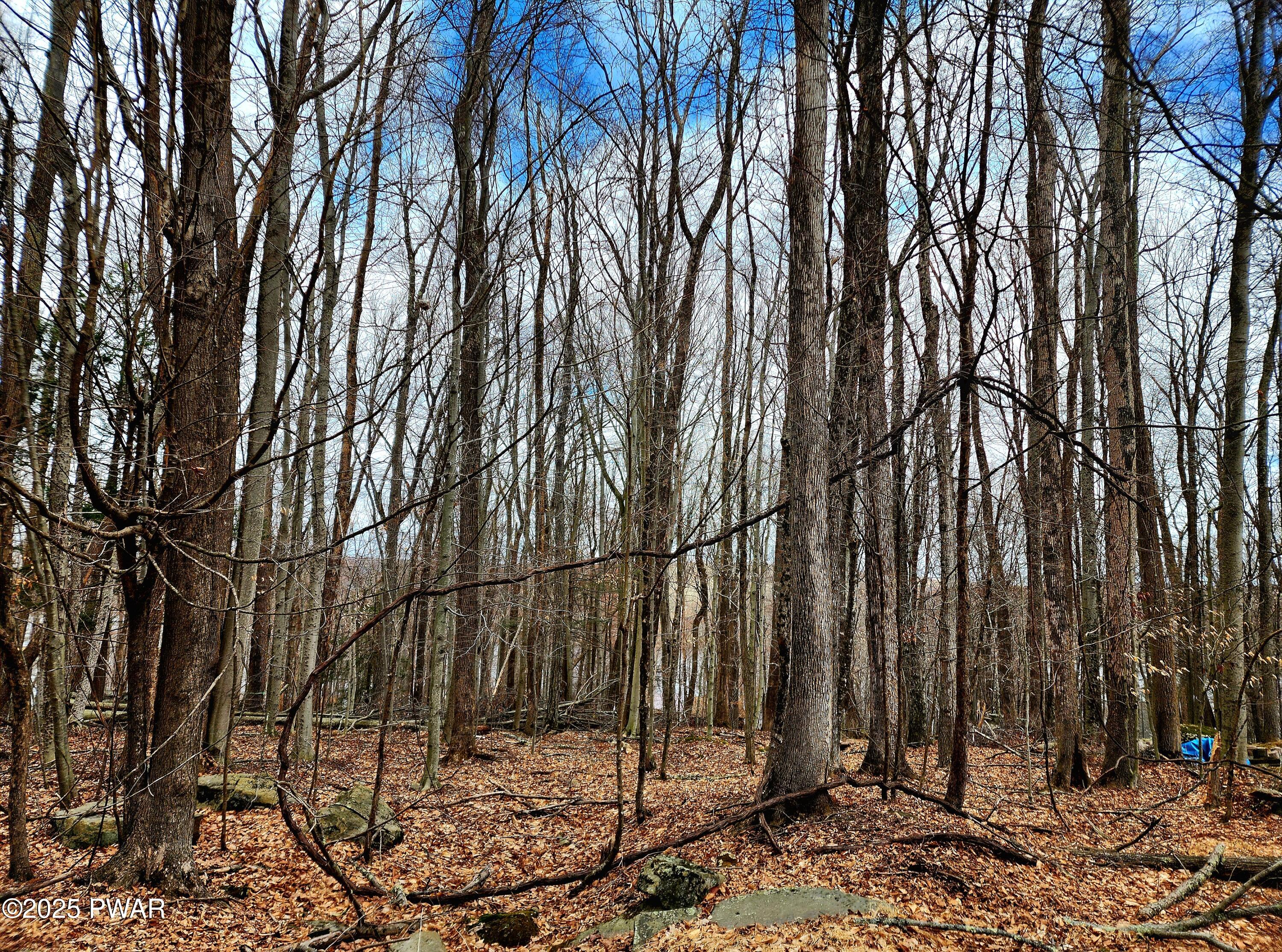 Lot 518 Hummingbird Lane, Hawley, Pennsylvania image 3