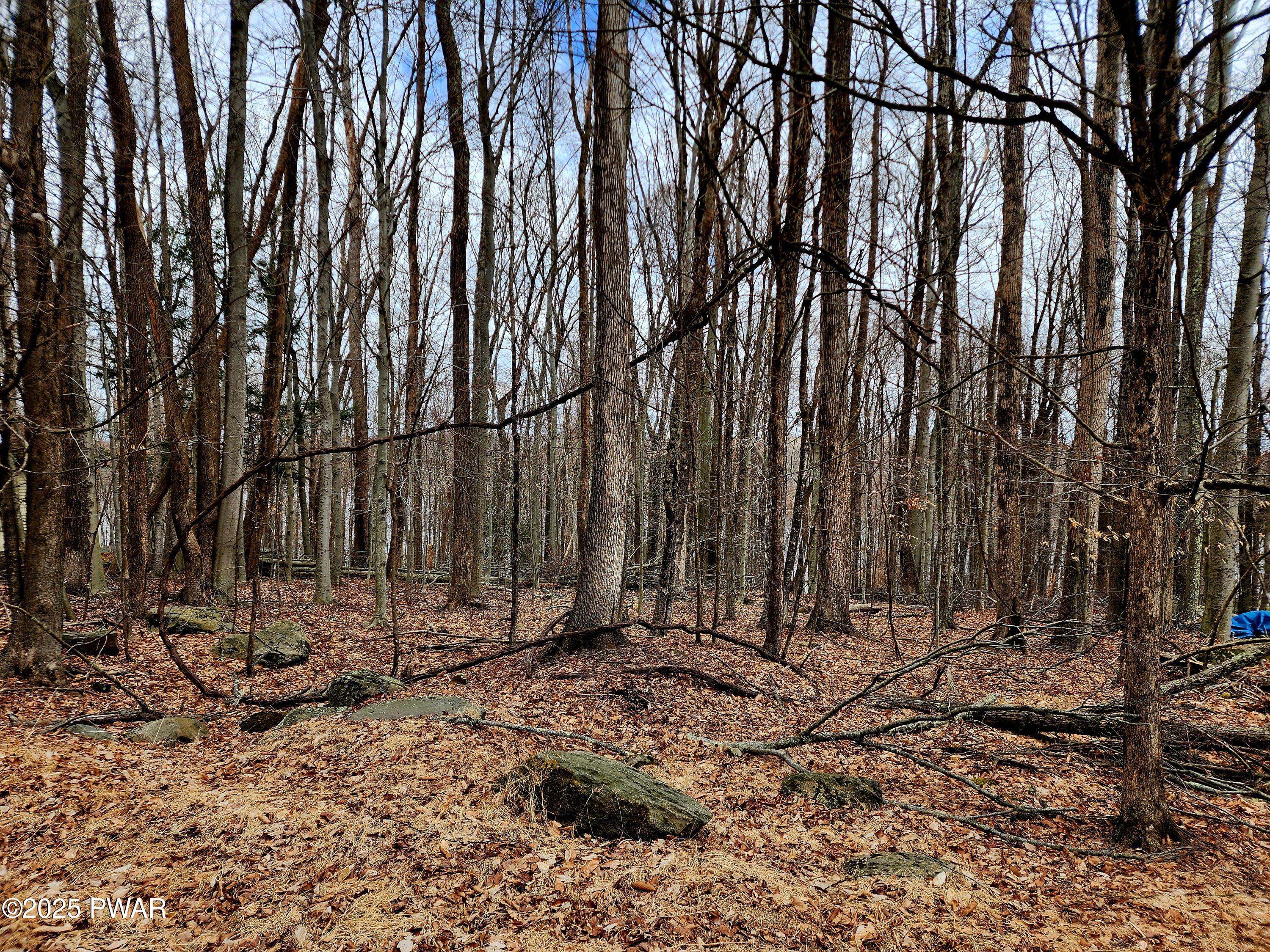 Lot 518 Hummingbird Lane, Hawley, Pennsylvania image 4