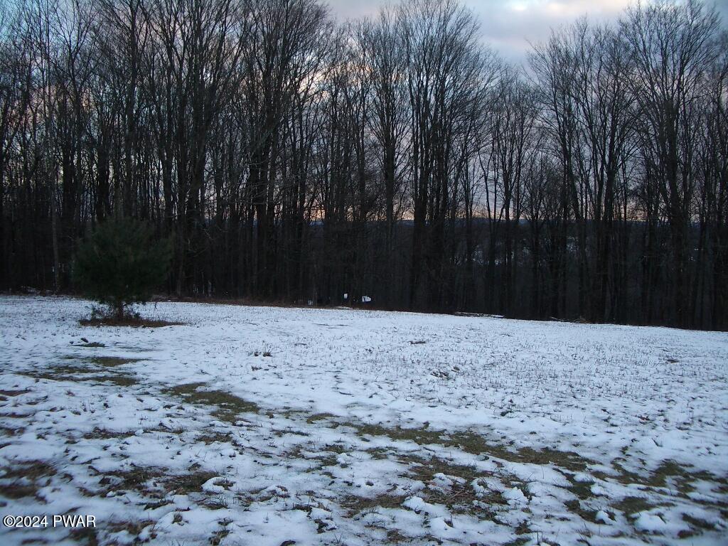 4 Avoy Heights Road, Lake Ariel, Pennsylvania image 6