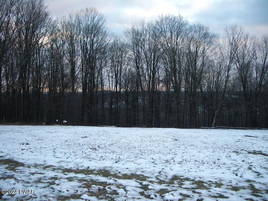 4 Avoy Heights Road, Lake Ariel, Pennsylvania image 2